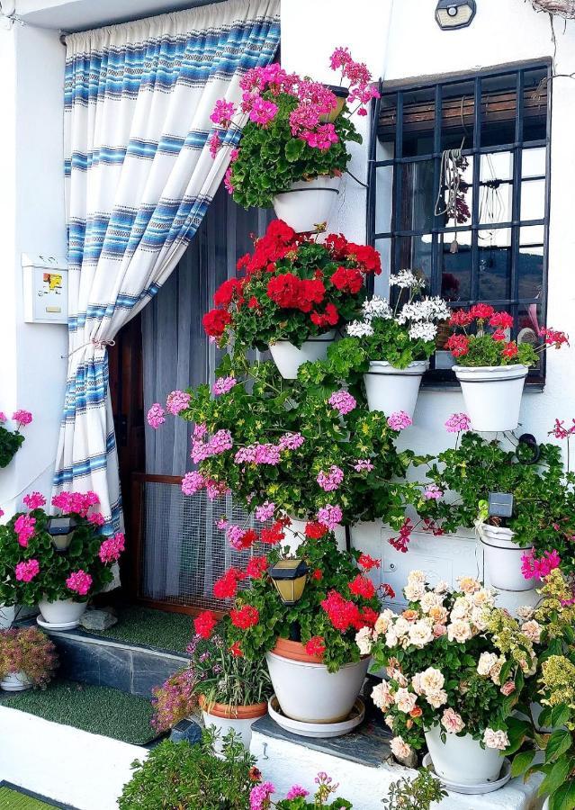 Casa Alhambra - Centro Historico Con Jardin Privado Apartman Granada Kültér fotó