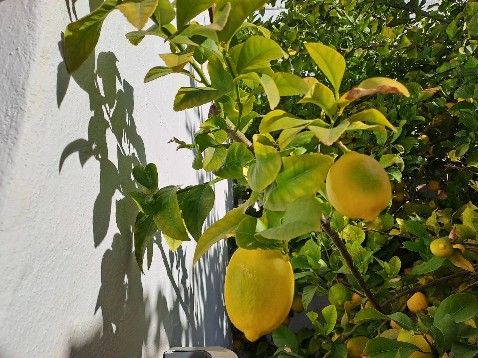Casa Alhambra - Centro Historico Con Jardin Privado Apartman Granada Kültér fotó