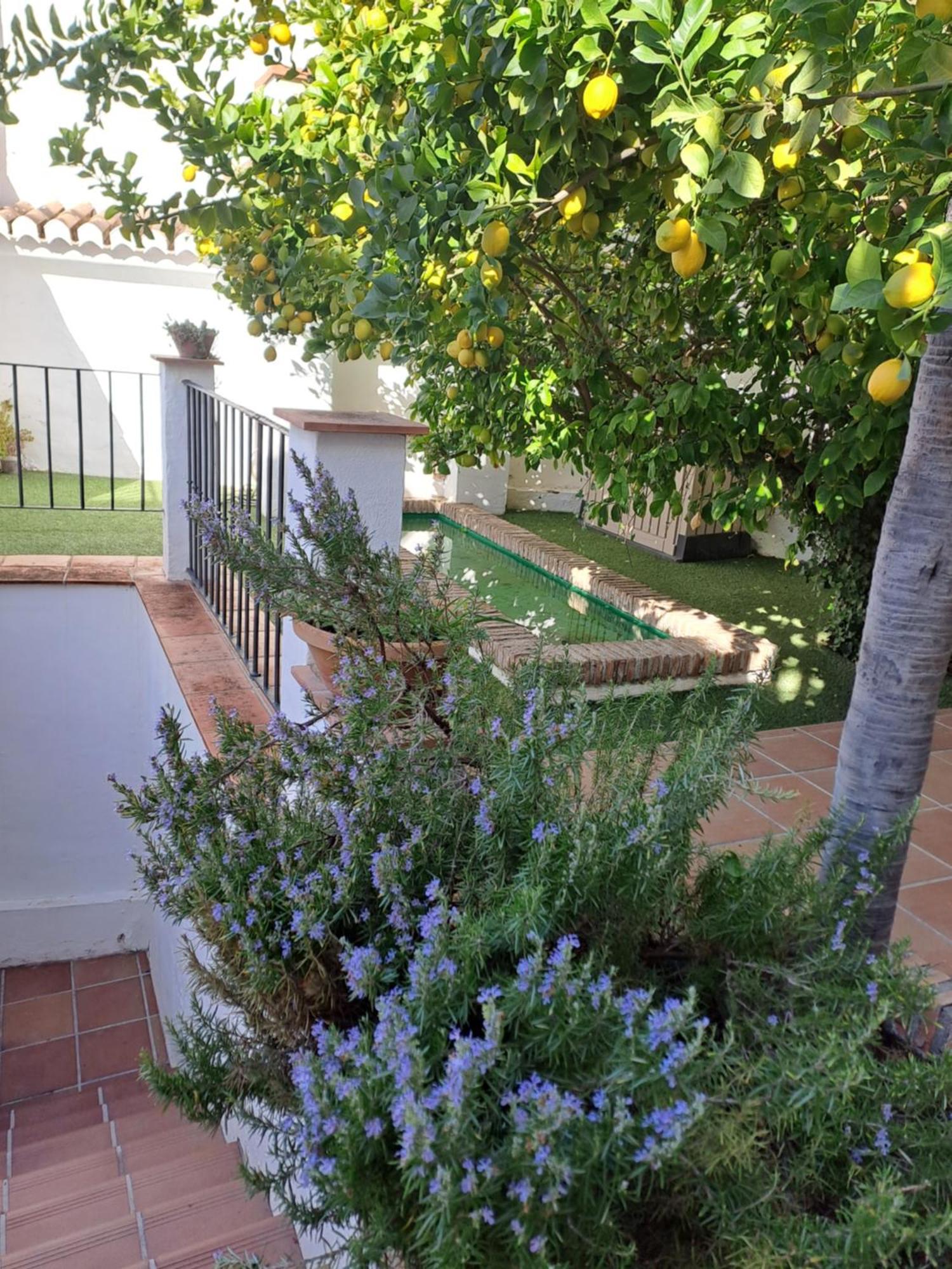Casa Alhambra - Centro Historico Con Jardin Privado Apartman Granada Kültér fotó